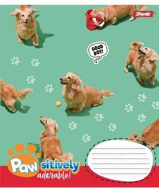 Тетрадь ученическая школьная 1 Вересня Pawsitively А5 24 листов линия