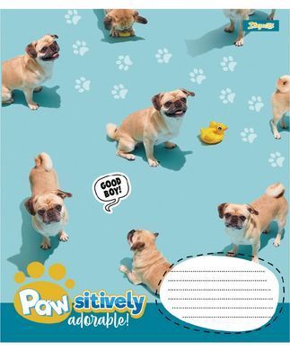 Тетрадь ученическая школьная 1 Вересня Pawsitively А5 24 листов линия