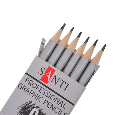 Набір чорнографітних олівців "Santi Highly Pro", 6 шт