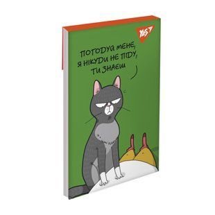 Блокнот YES А7 Lazy cats 48 листов клетка
