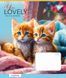 Зошит шкільний Yes You Lovely 18 аркушів клітинка 4 з 6