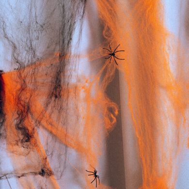 Павутина декор. Yes! Fun Хелловін 20 г, з двома павучками, помаранчева
